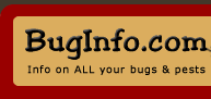 Bug Info logo